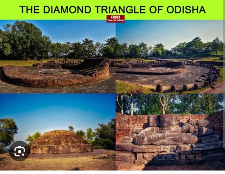 WhatsApp Image 2026-01-24 at 21.19.02 (1)