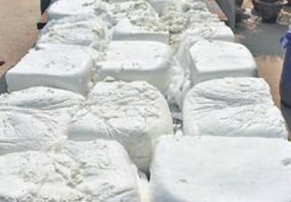 adulterated-paneer